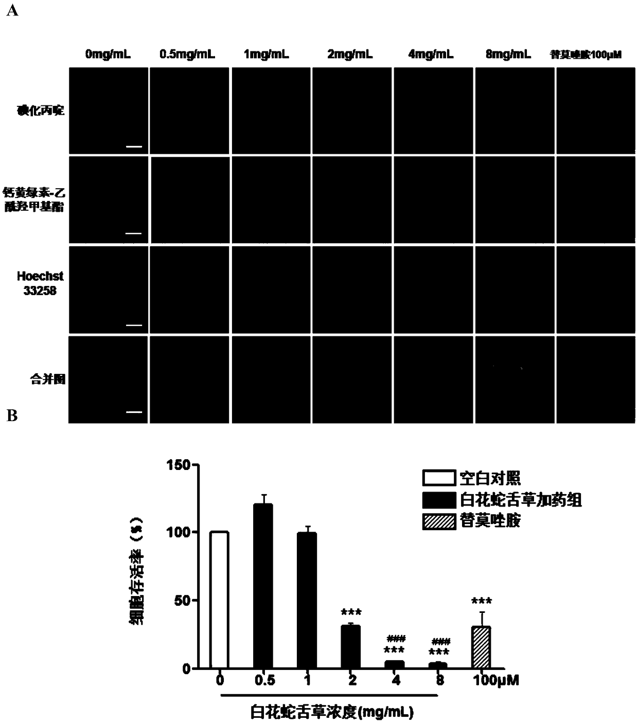 Application of oldenlandia diffusa in resisting against human brain glioma cell proliferation, promoting apoptosis, resisting against metastasis and resisting against invasion