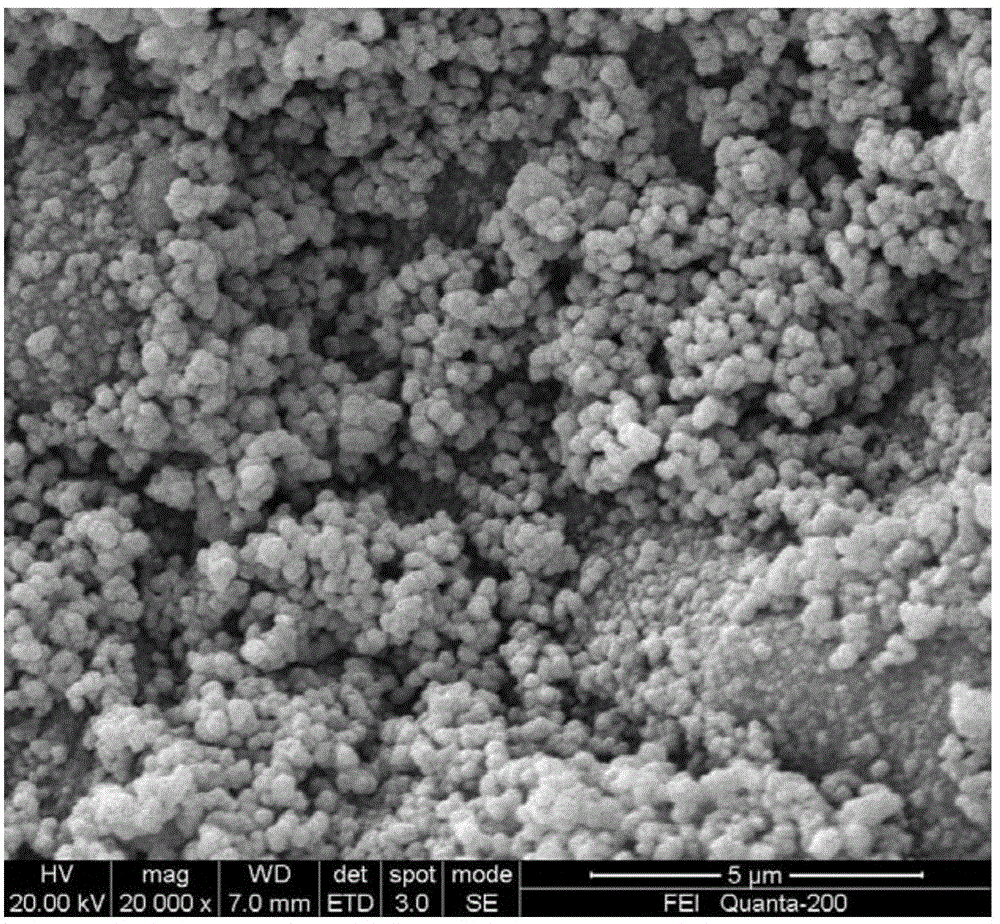 Fixing agent for repairing lead-cadmium contaminated soil and preparation and application methods thereof