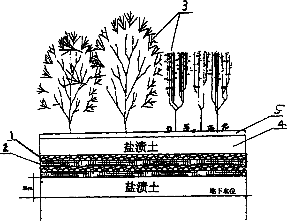 Method for improving coast salty soil by utilizing cotton straw