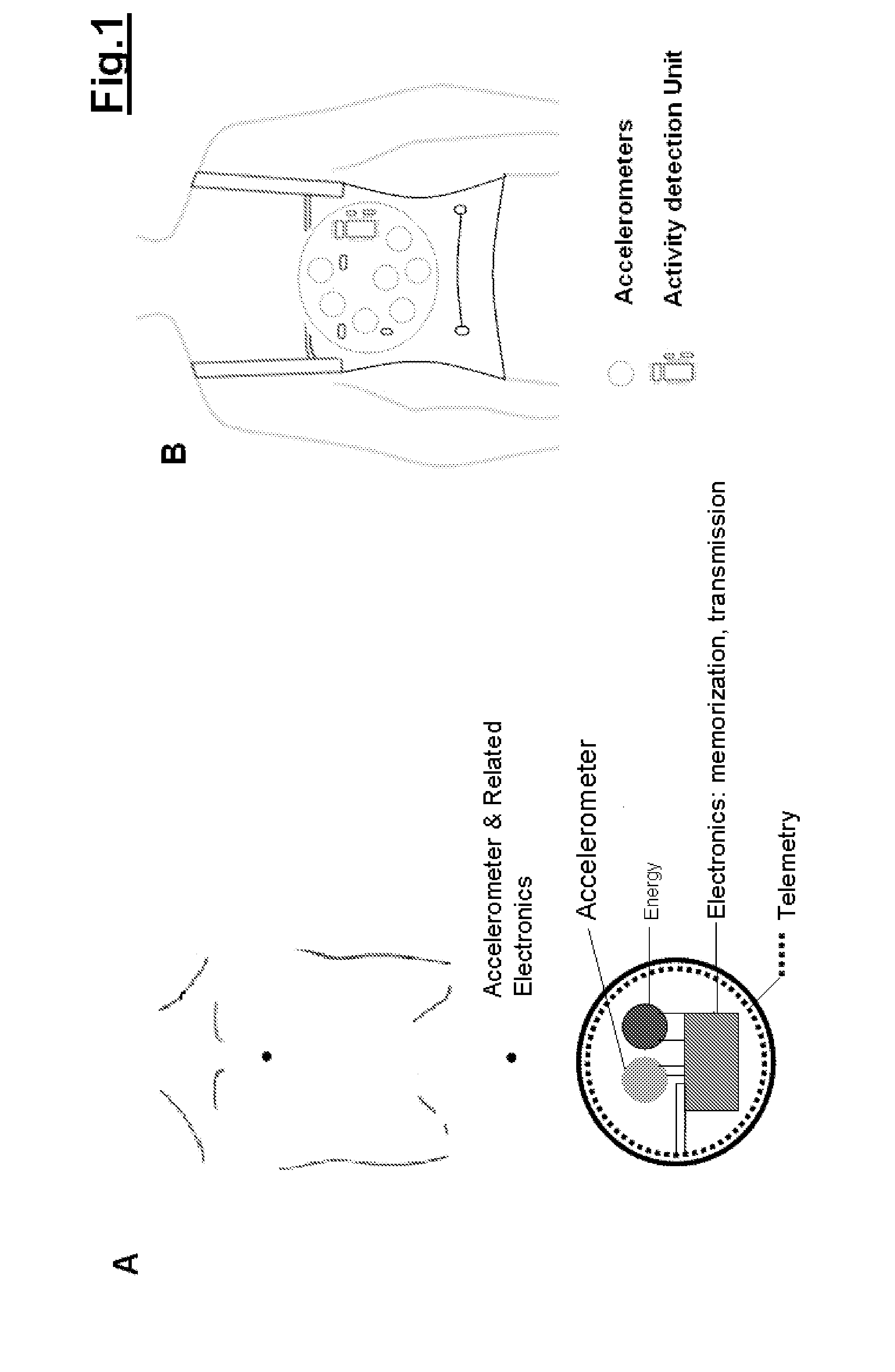 Device for quantification and monitoring of cardiovascular function during induced stress or physical activity and at rest
