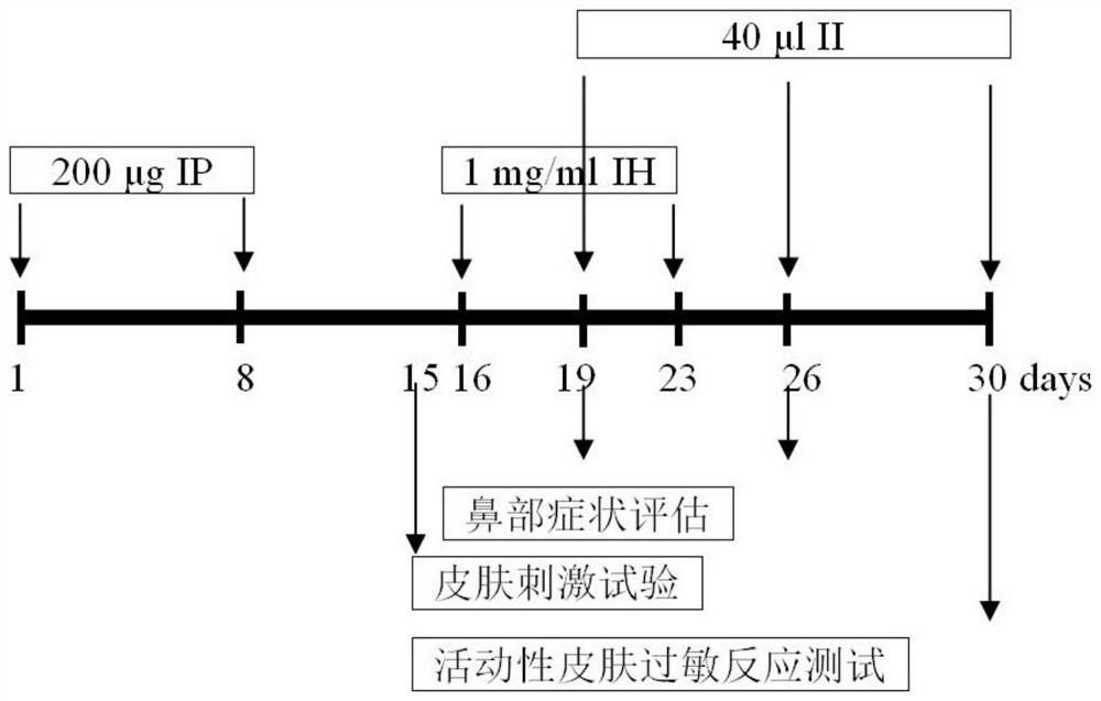 Nasal cavity excitation reagent based on recombinant dermatophagoides farinae Der f2 protein