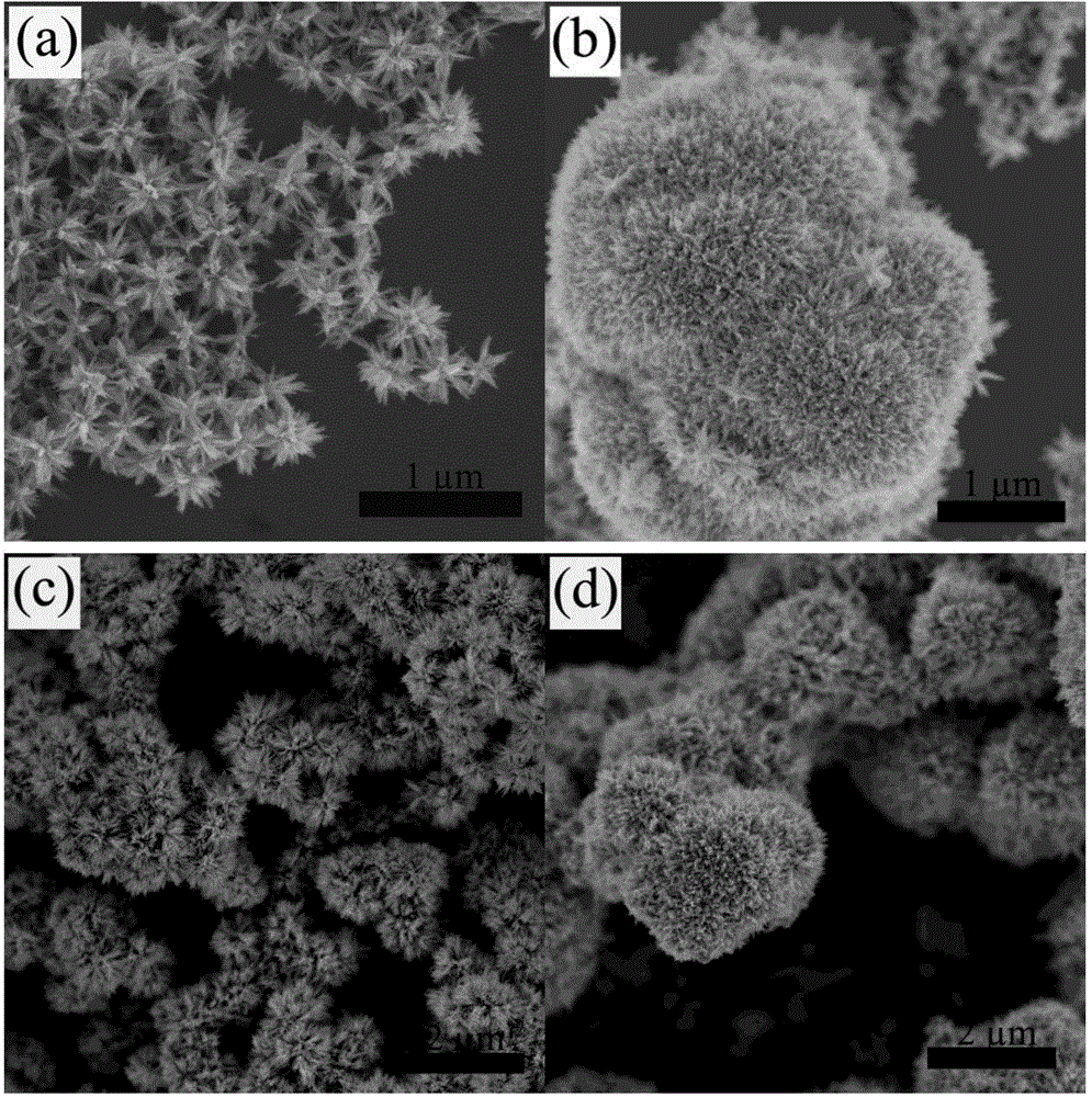 Micro/nano-structure velvet-flower-shaped Fe3O4 and preparation method thereof