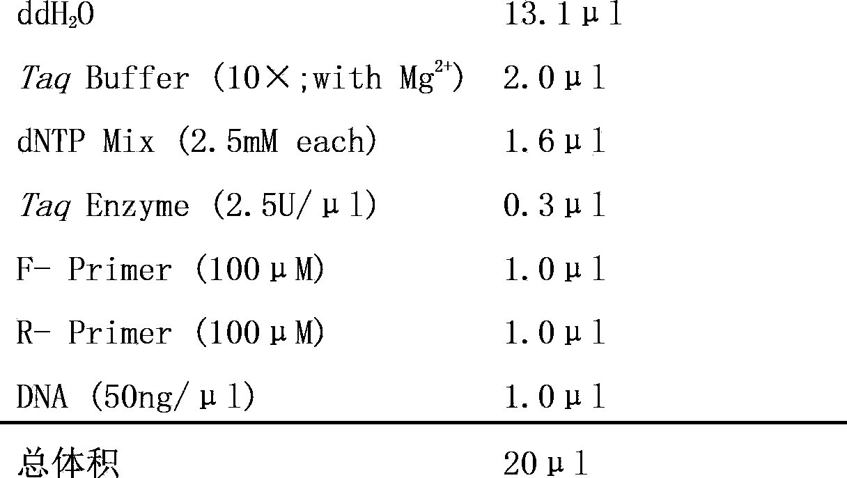 Specific marker linked with stripe rust resistance gene of Yilong Tuo wheat, and application of specific marker