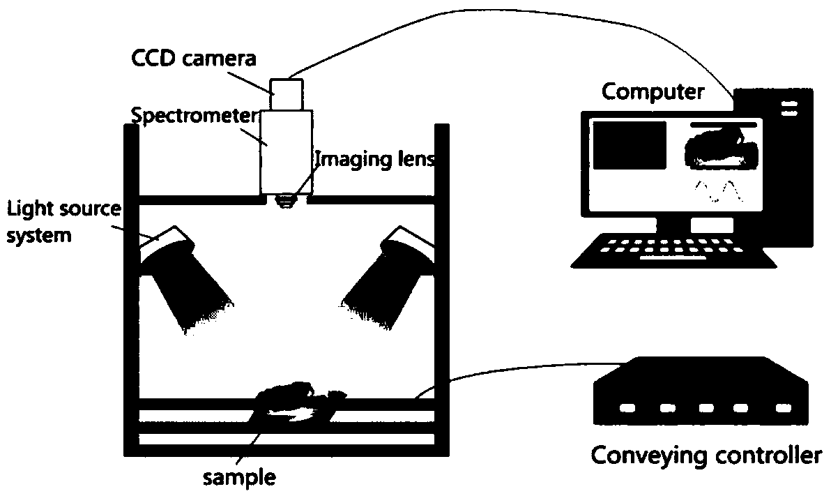 Method for identifying quality of Chinese mitten crabs based on hyperspectral image technology