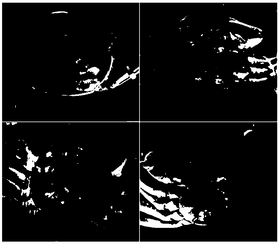 Method for identifying quality of Chinese mitten crabs based on hyperspectral image technology