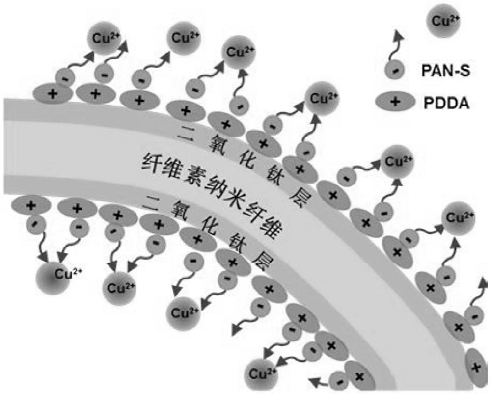 Copper ion detection reagent, test paper, preparation method and application in copper ion detection