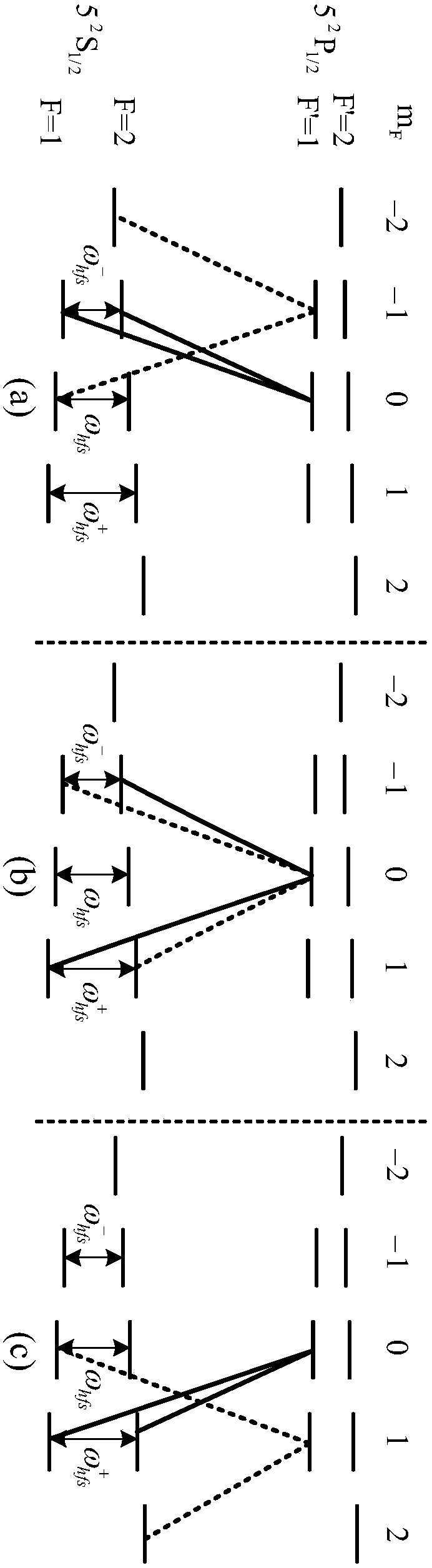 A Realization Method of Differential Detection Coherent Population Trapped Magnetometer