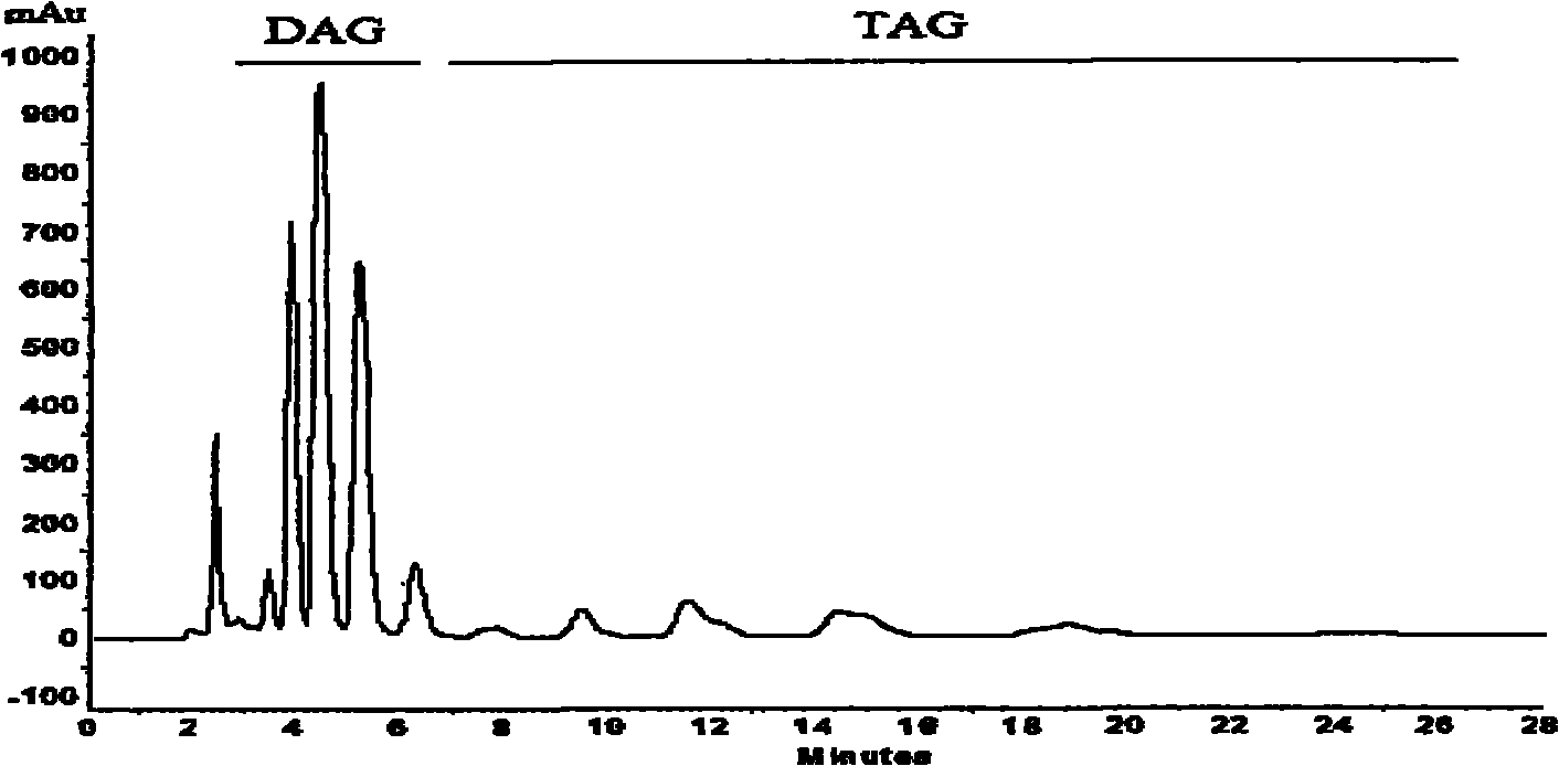 Method for preparing diglyceride from phosphatidase A1 through catalytic esterification
