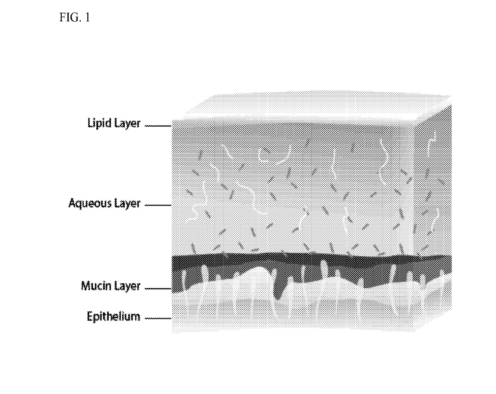 Methods and compositions for modifying mucous membranes