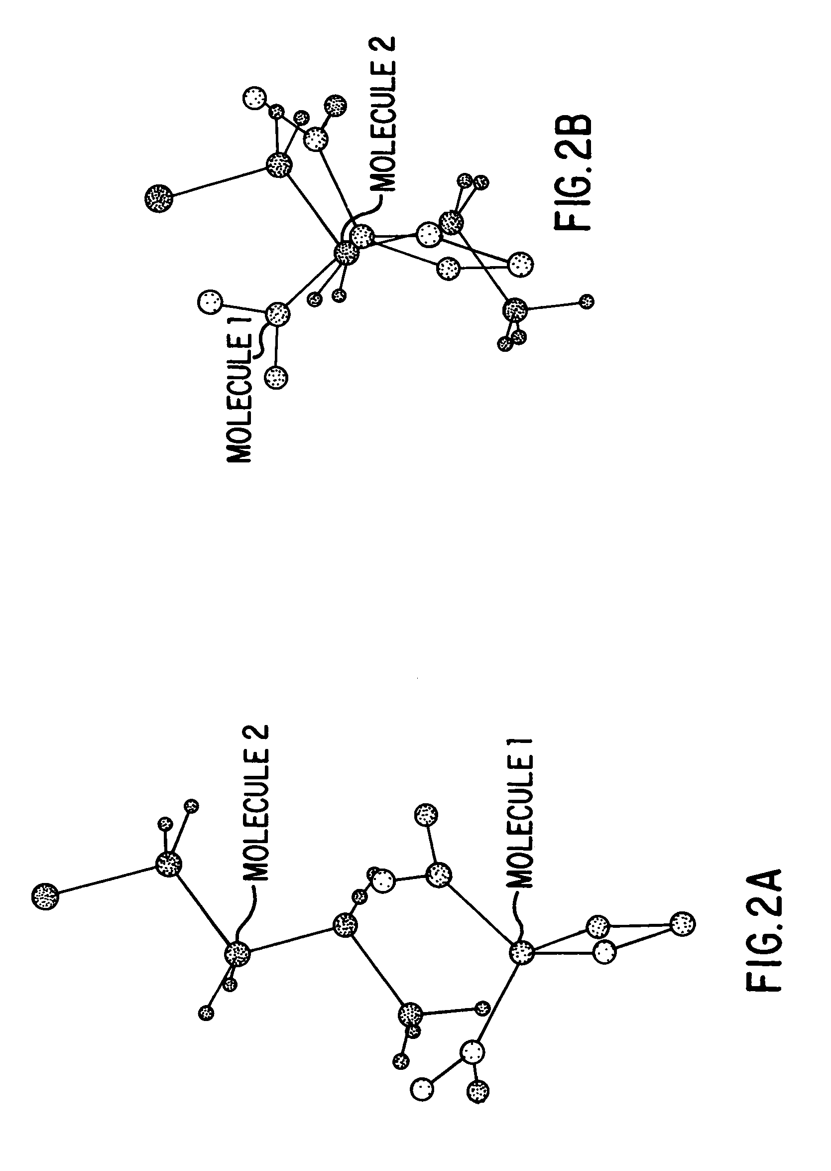 Method for determining a shape space for a set of molecules using minimal metric distances