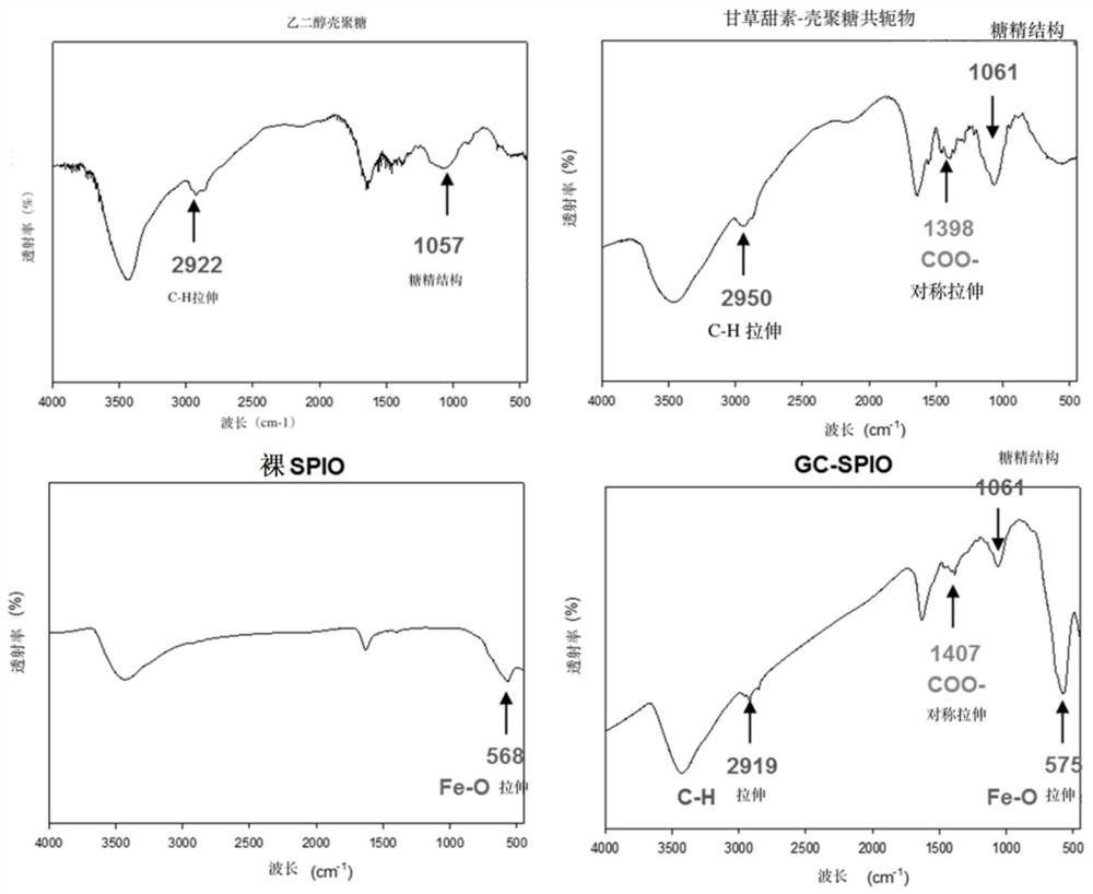 Glycyrrhizin-glycol chitosan conjugate-coated iron oxide nanoparticles and use thereof