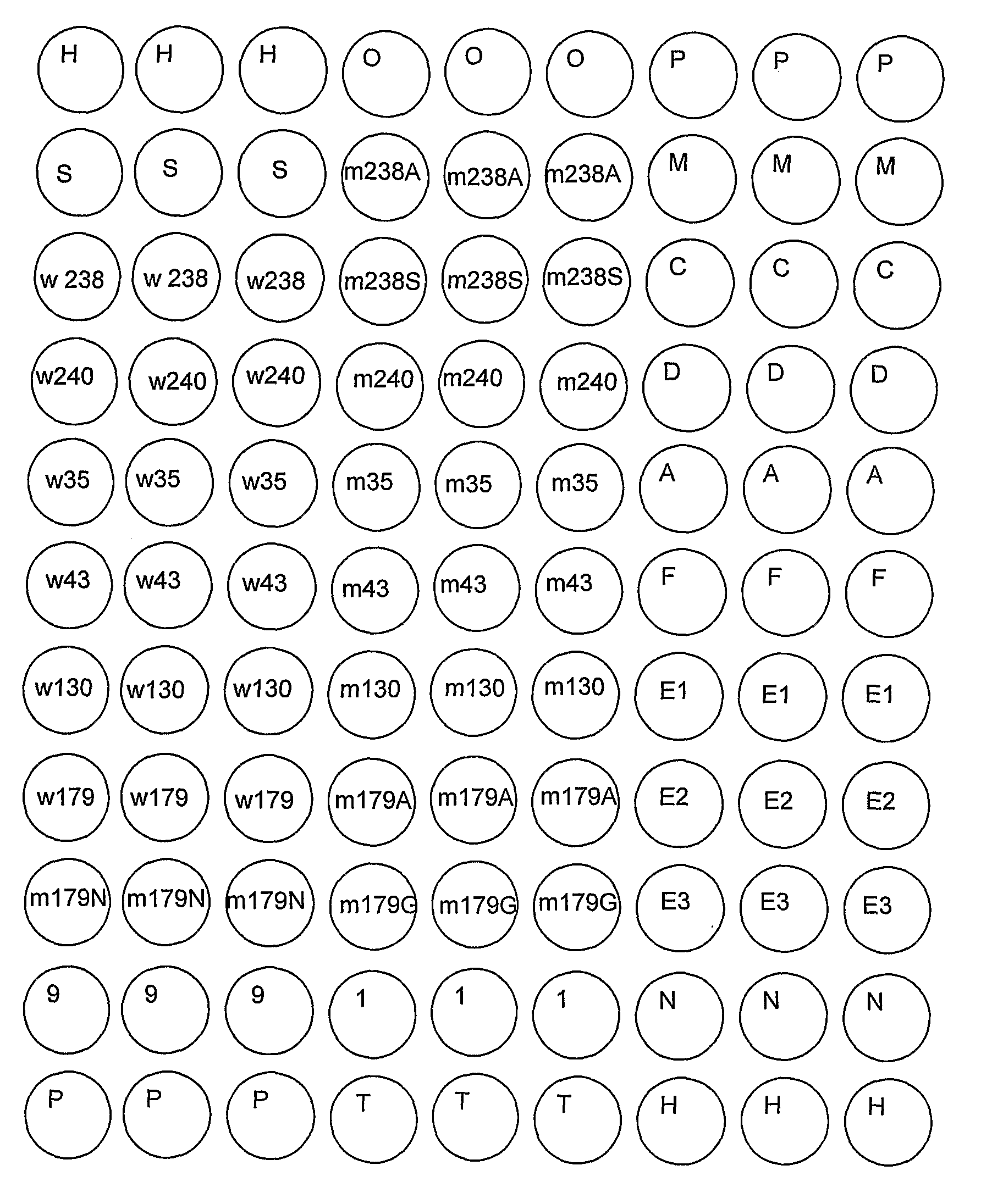 Methods, microarray, and kits for detection of drug resistance genes in gram-negative bacteria