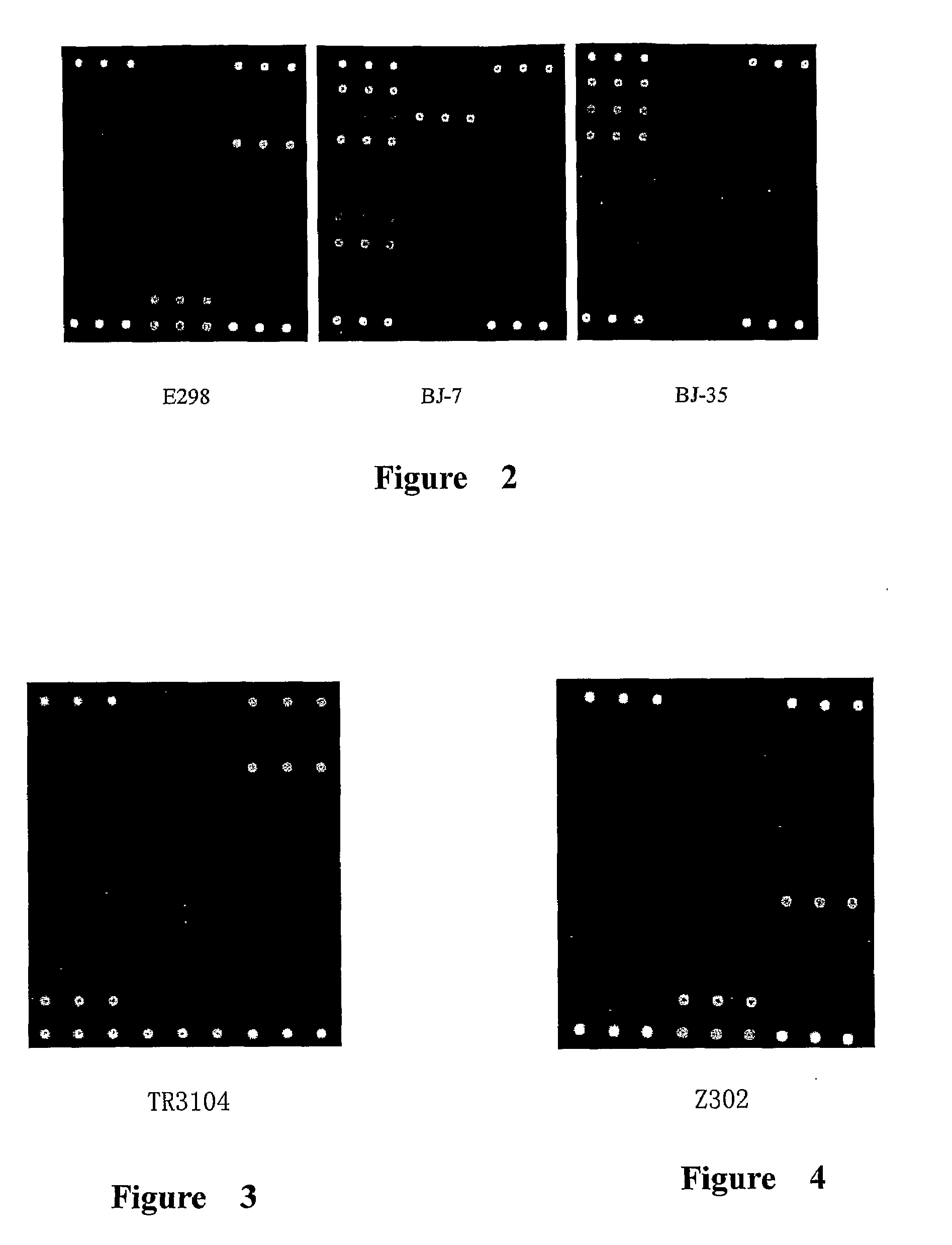 Methods, microarray, and kits for detection of drug resistance genes in gram-negative bacteria