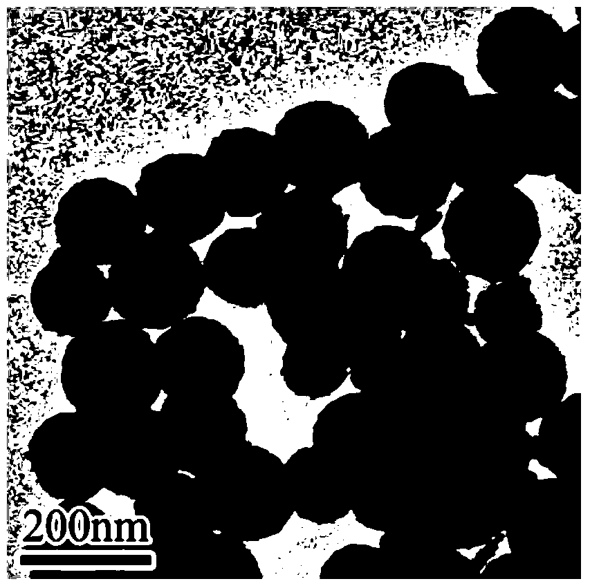 Titanium dioxide/metal core-shell structure composite nano-particle and preparing method thereof