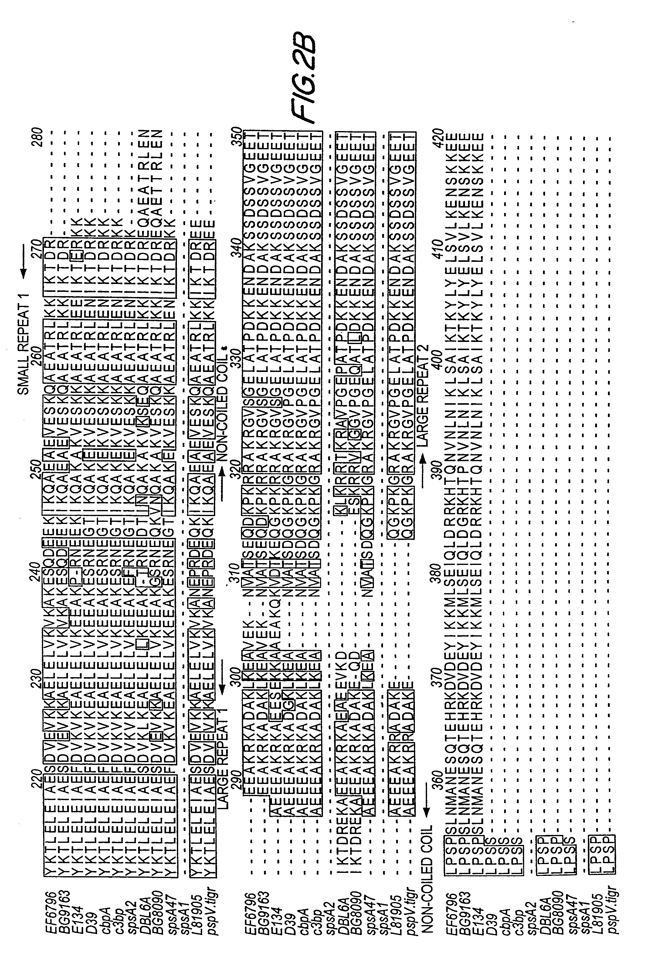 Pneumococcal surface protein C (PspC), epitopic regions and strain selection thereof, and uses therefor