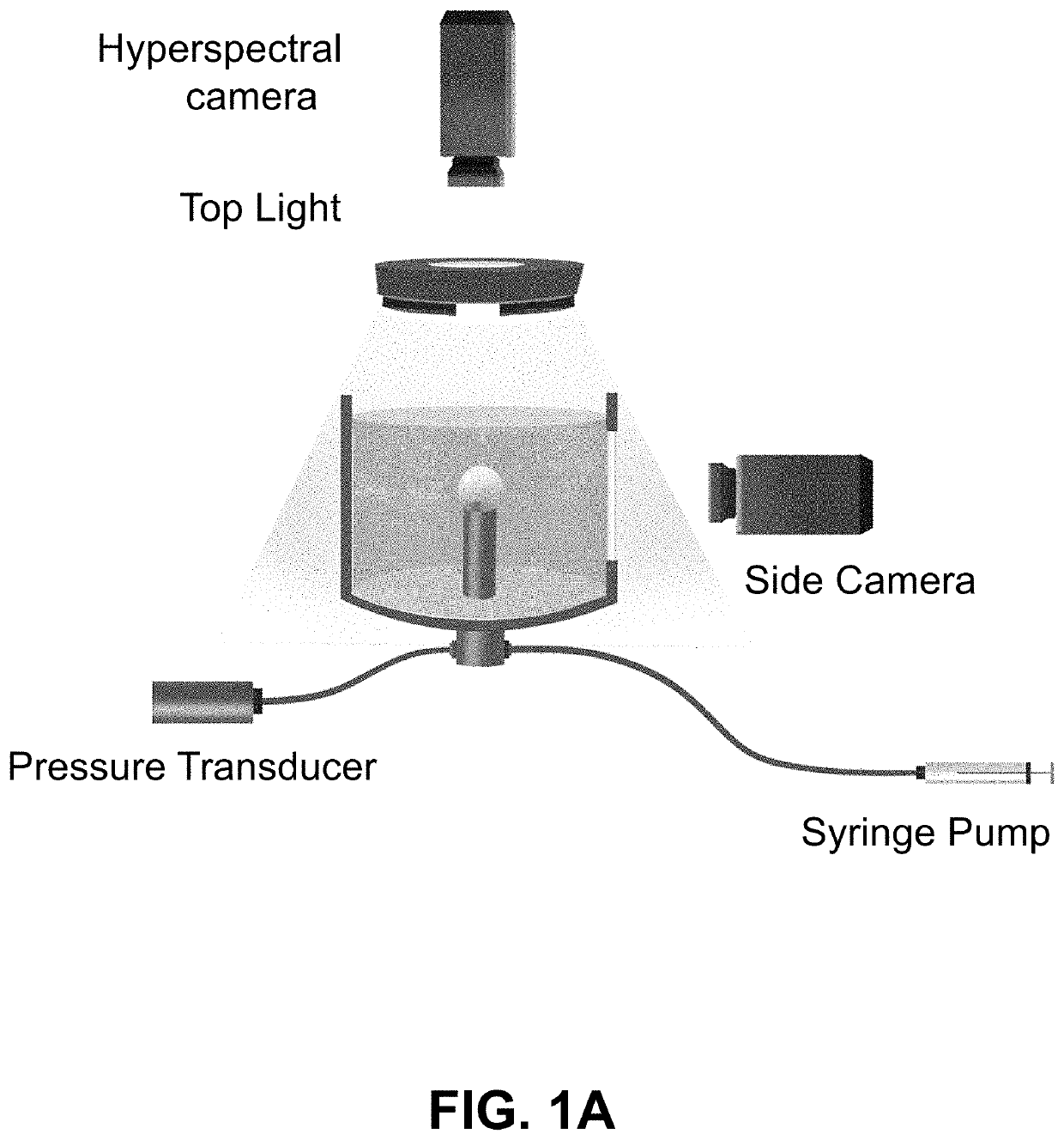 Platform and methods for dynamic thin film measurements using hyperspectral imaging