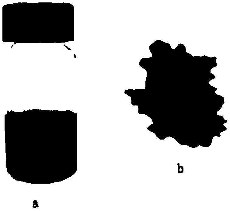 Nitrogen-doped organic carbon nanometer material, preparation method and applications thereof