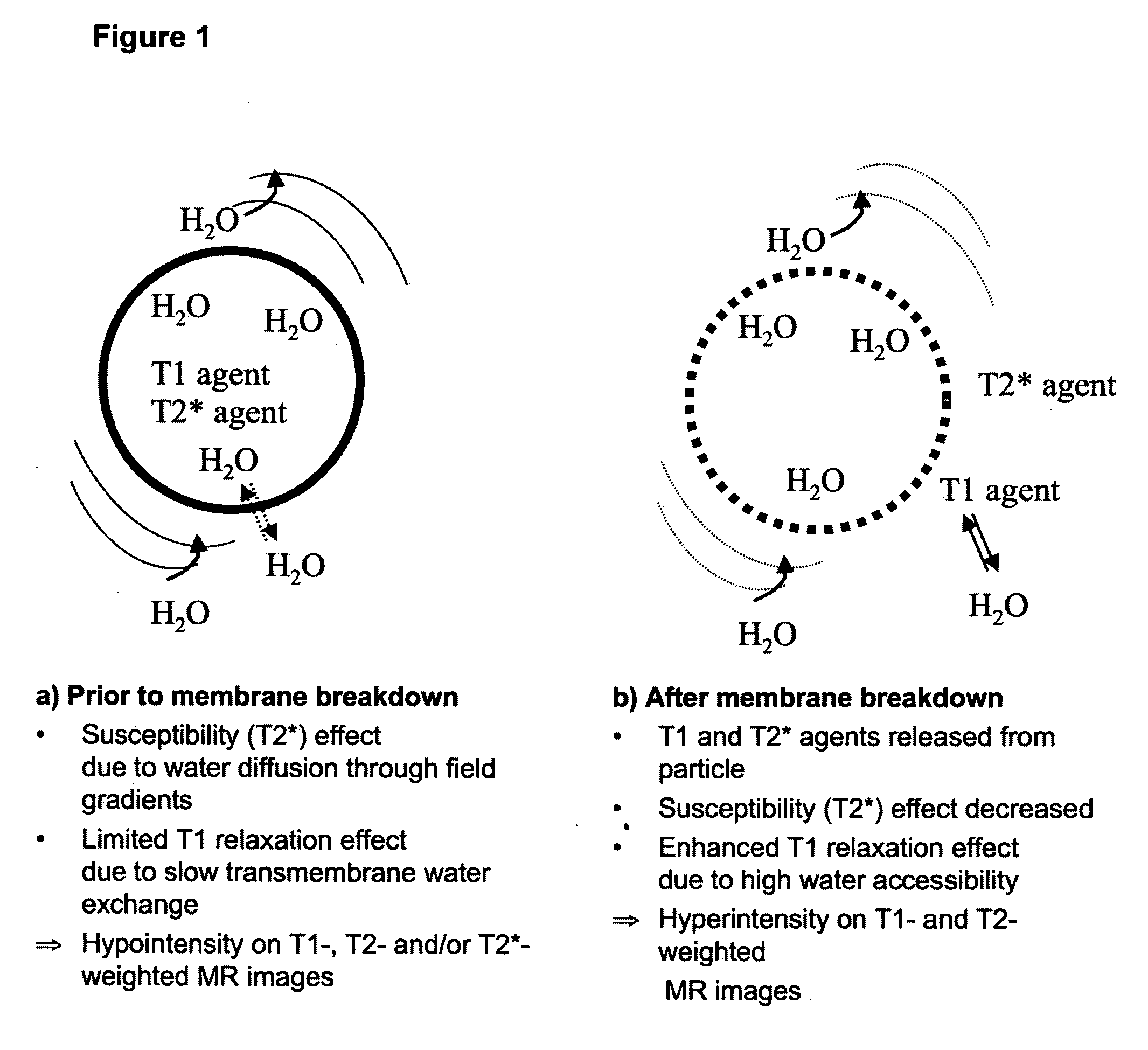 MRI trackable drug delivery particles, uses and methods thereof
