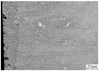 A kind of preparation method of surface strengthened fe-w alloy