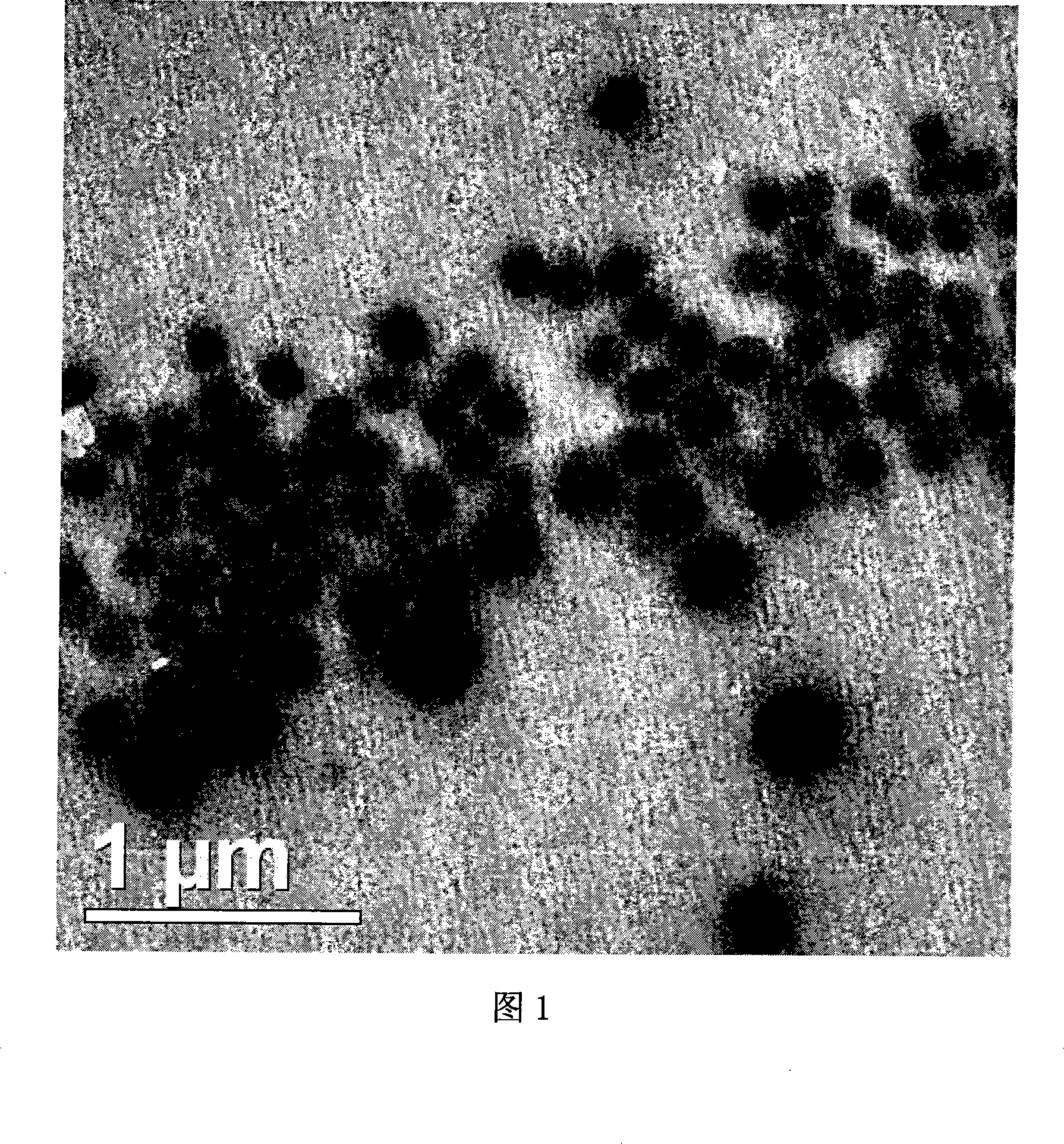 Itraconazole nanometer suspensions lyophilized compound and preparing , using method thereof
