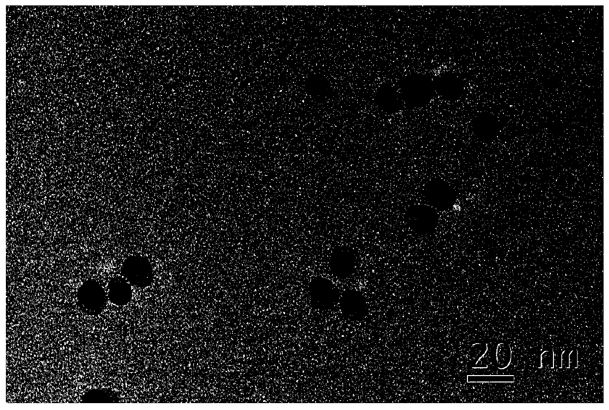 Gold/iron carbide heterogeneous nanoparticles and their preparation and application