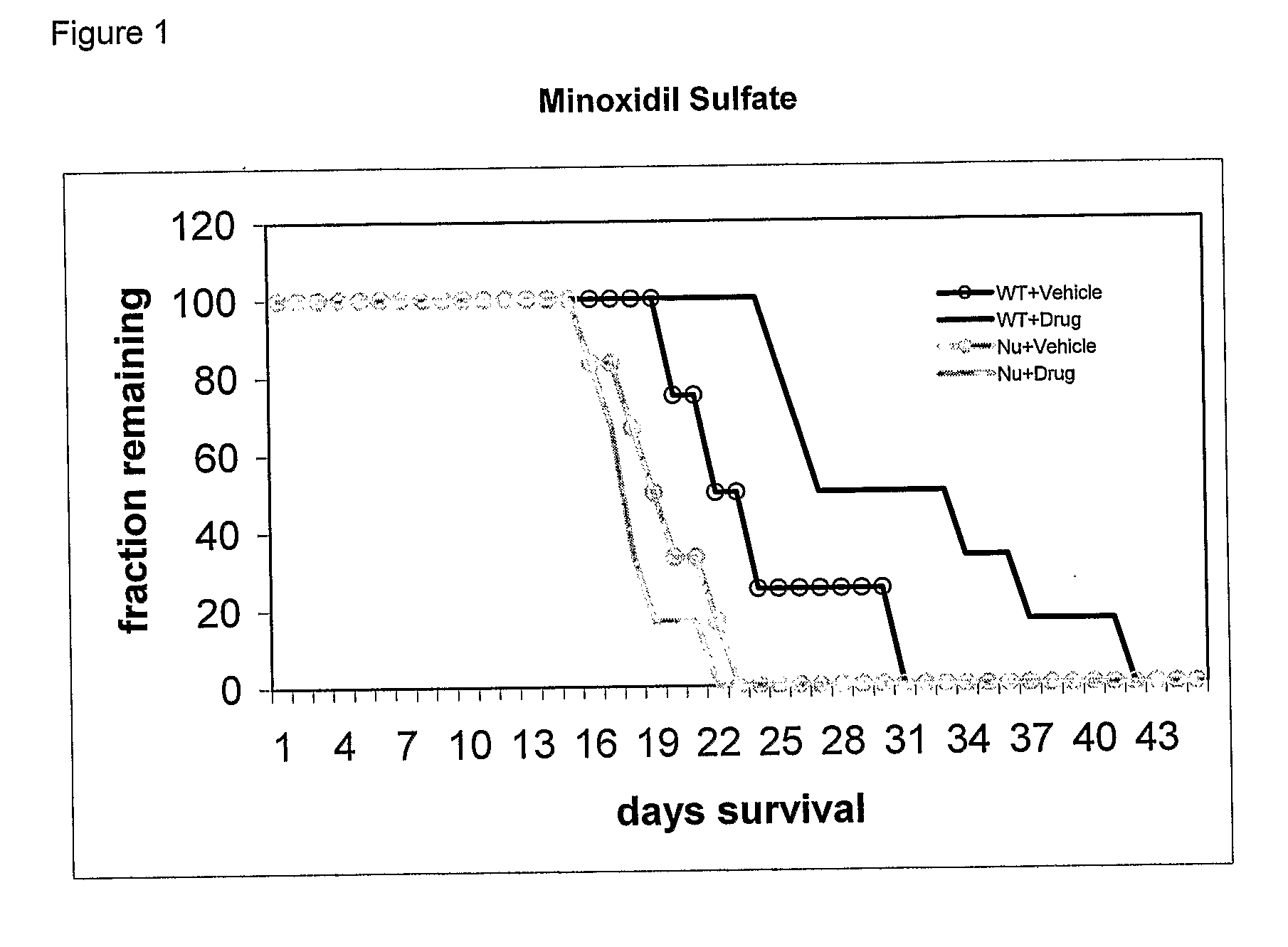 Use Of Minoxidil Sulfate As An Anti-Tumor Drug