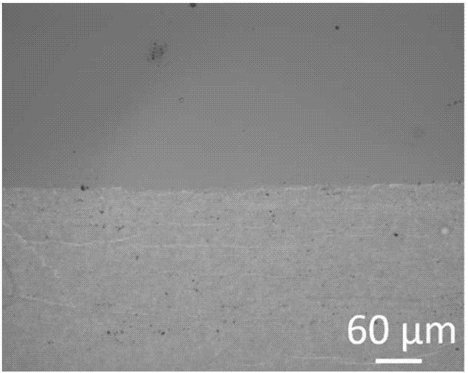 Flexible pressure sensor based on carbon nanotube film and photoresist and preparation method thereof