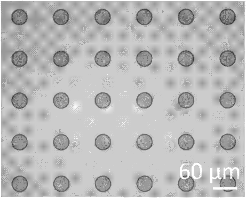 Flexible pressure sensor based on carbon nanotube film and photoresist and preparation method thereof