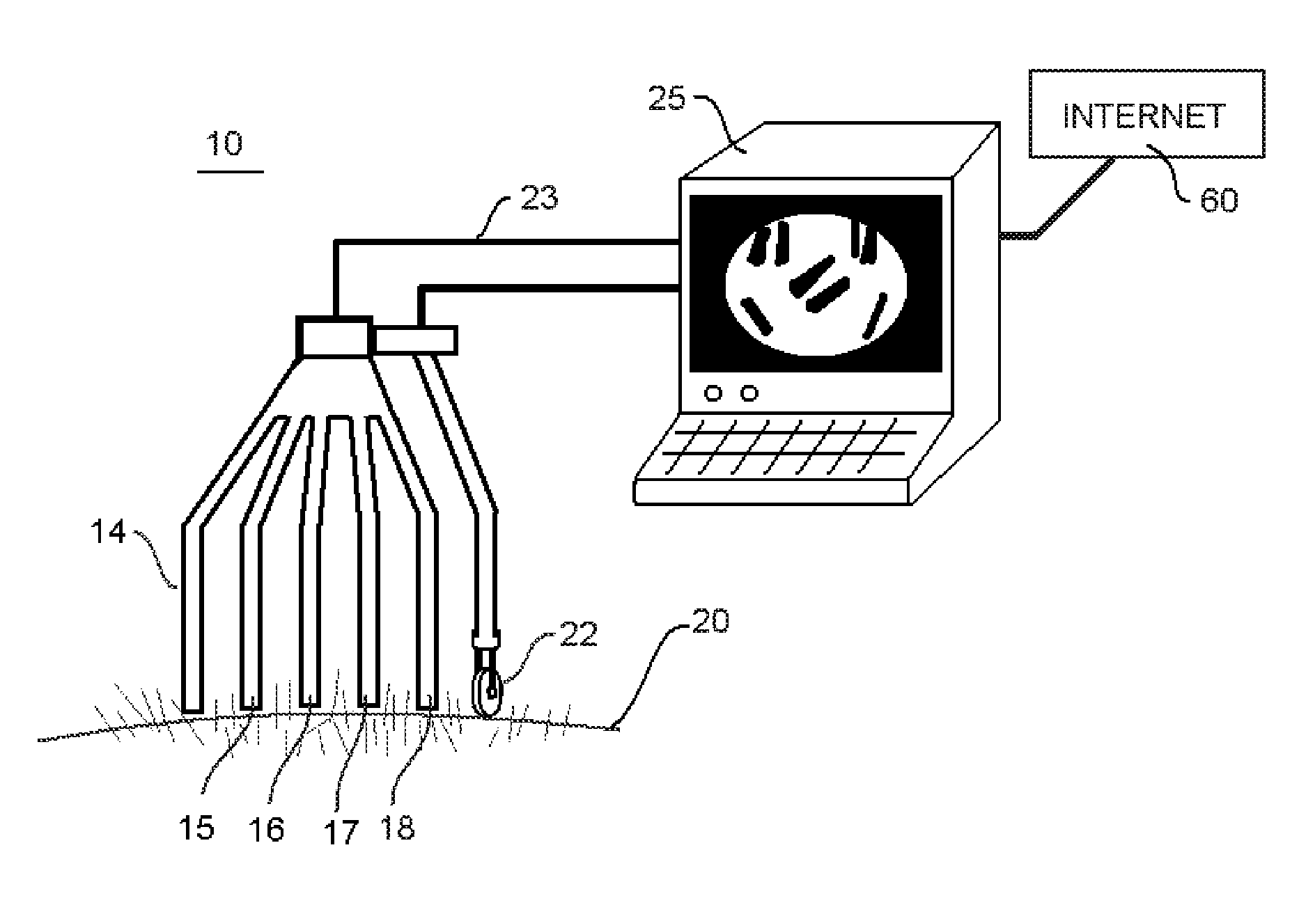 Apparatus and Method for Mapping Hair Metric