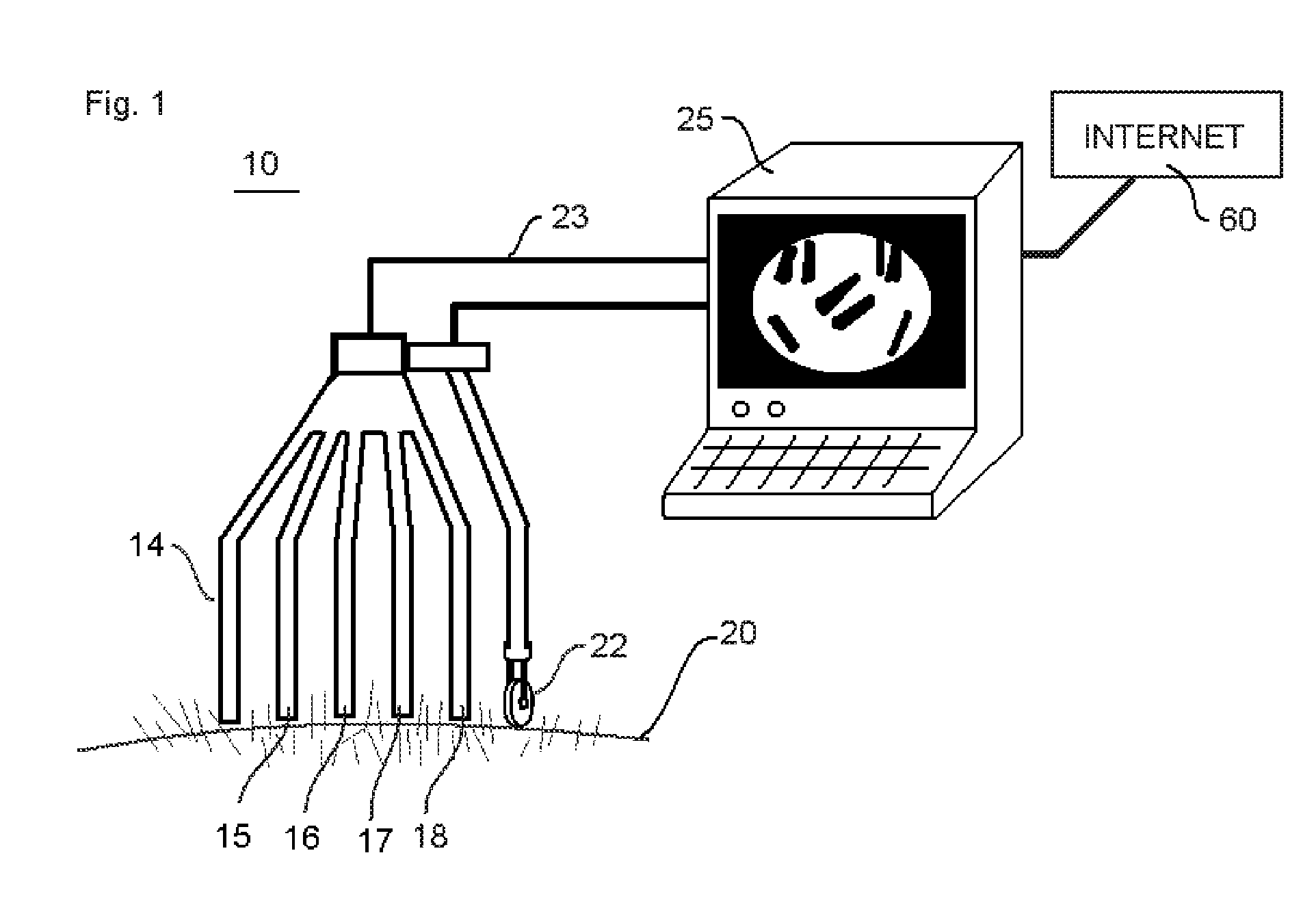 Apparatus and Method for Mapping Hair Metric