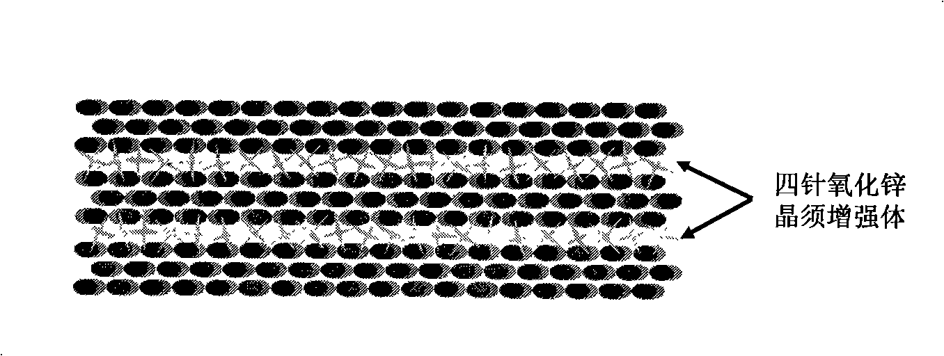 Method for preparing rigid three-dimensional crystal whisker interlayer modified continuous fiber composite material