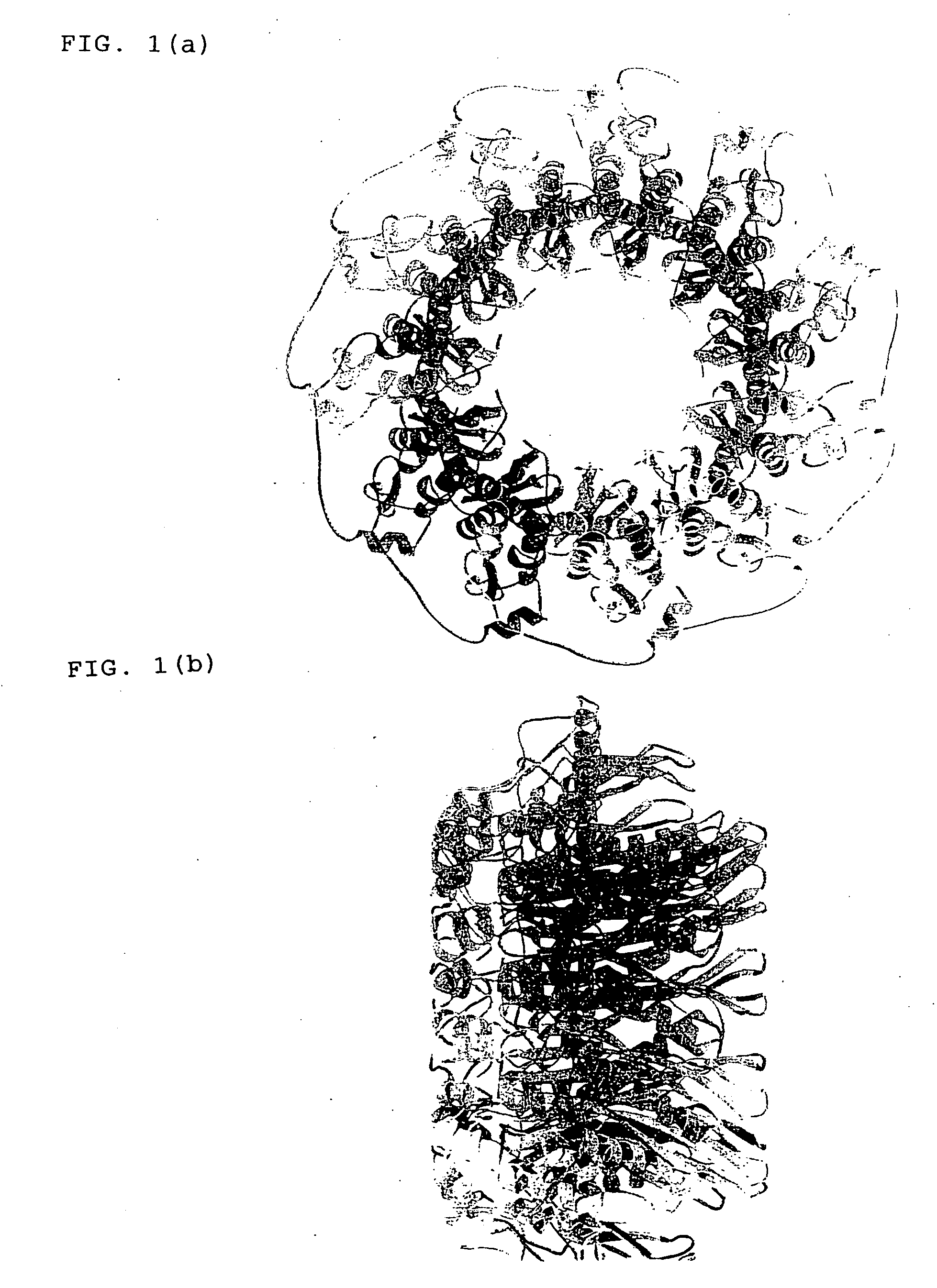 Three-dimensional structure of DNA recombination/repair protein and use thereof