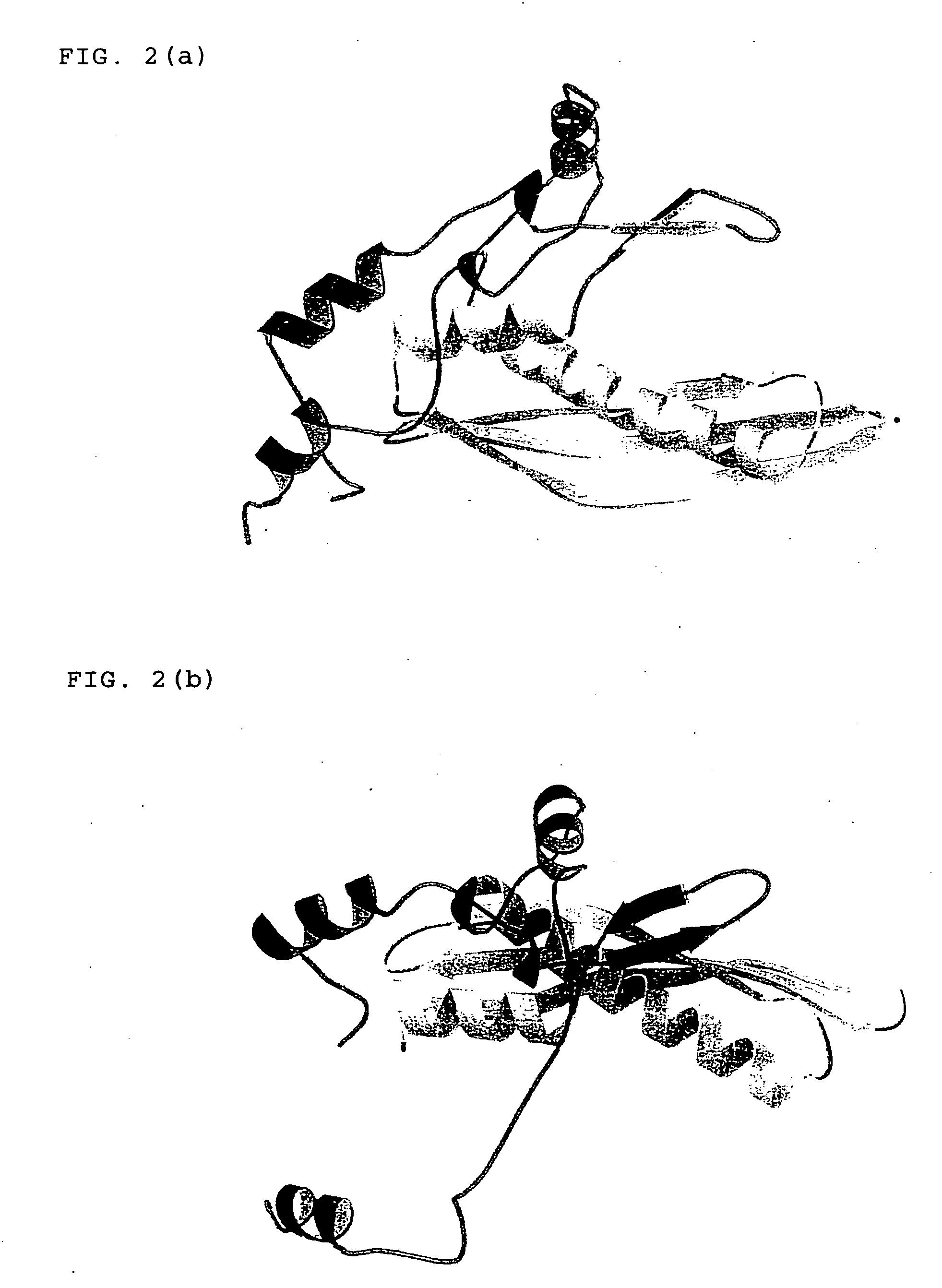 Three-dimensional structure of DNA recombination/repair protein and use thereof