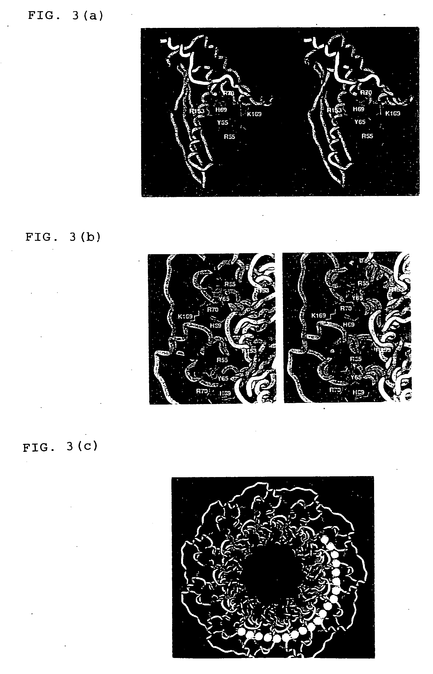 Three-dimensional structure of DNA recombination/repair protein and use thereof