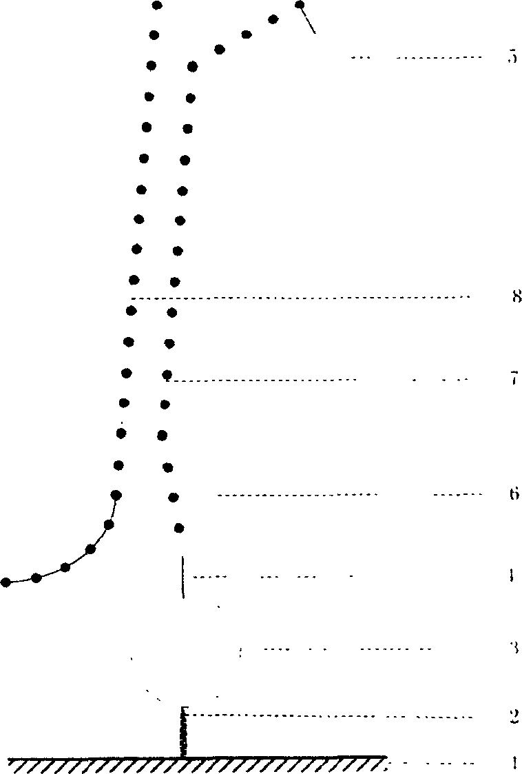 Solid phase nucleic acid detection probe and preparing method thereof