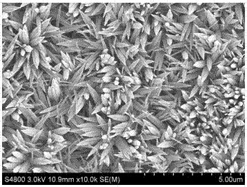 A method for preparing copper-based nano-zinc oxide-polyvinylidene fluoride composite material