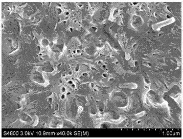 A method for preparing copper-based nano-zinc oxide-polyvinylidene fluoride composite material