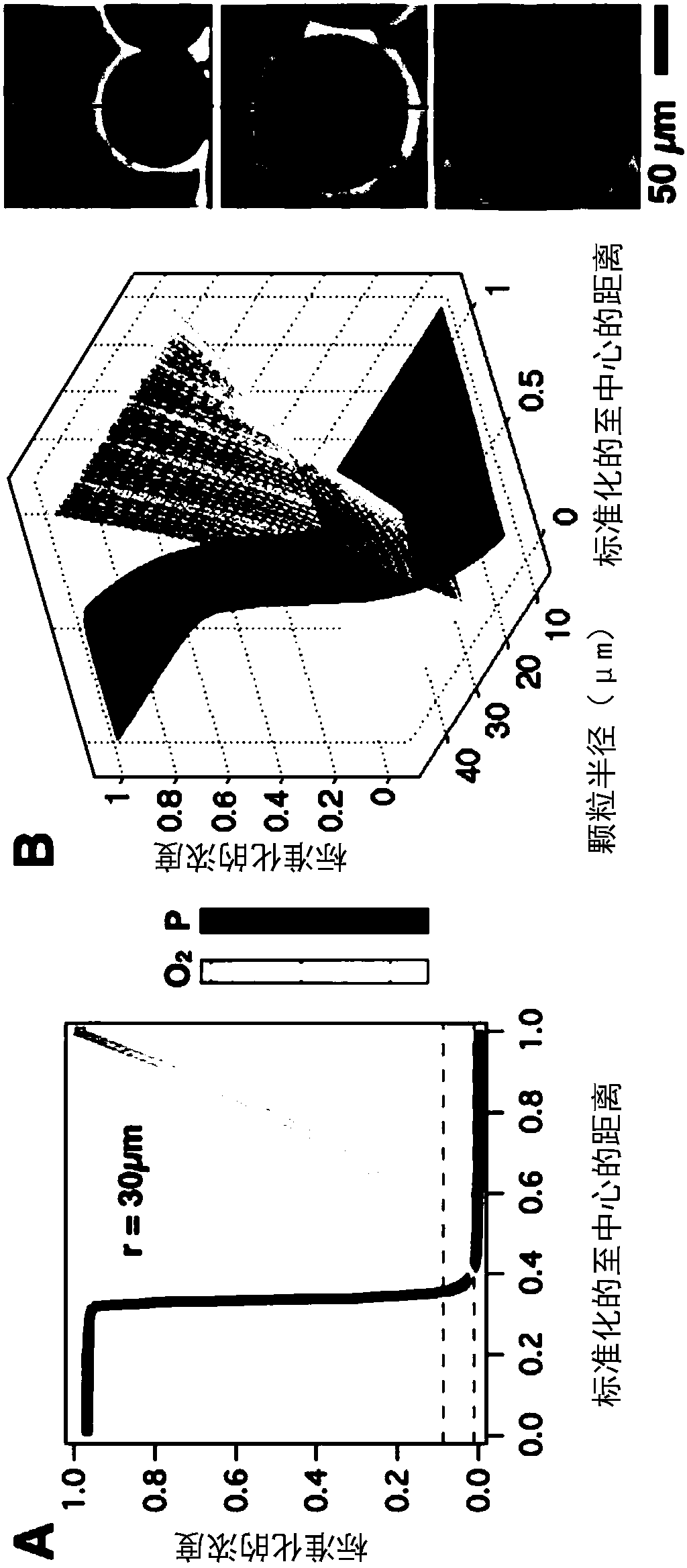 Methods of generating microparticles and porous hydrogels using microfluidics