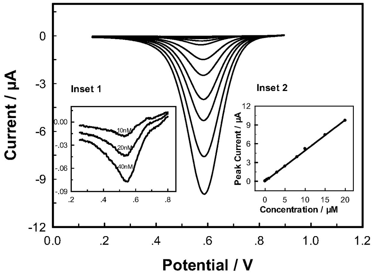 A kind of metal nanomaterial and its synthesis method using carbon-based material as template