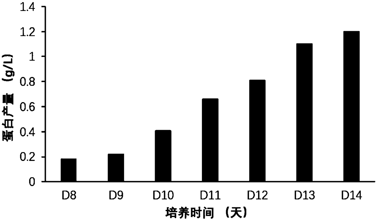 Method for producing recombinant platelet-derived growth factors