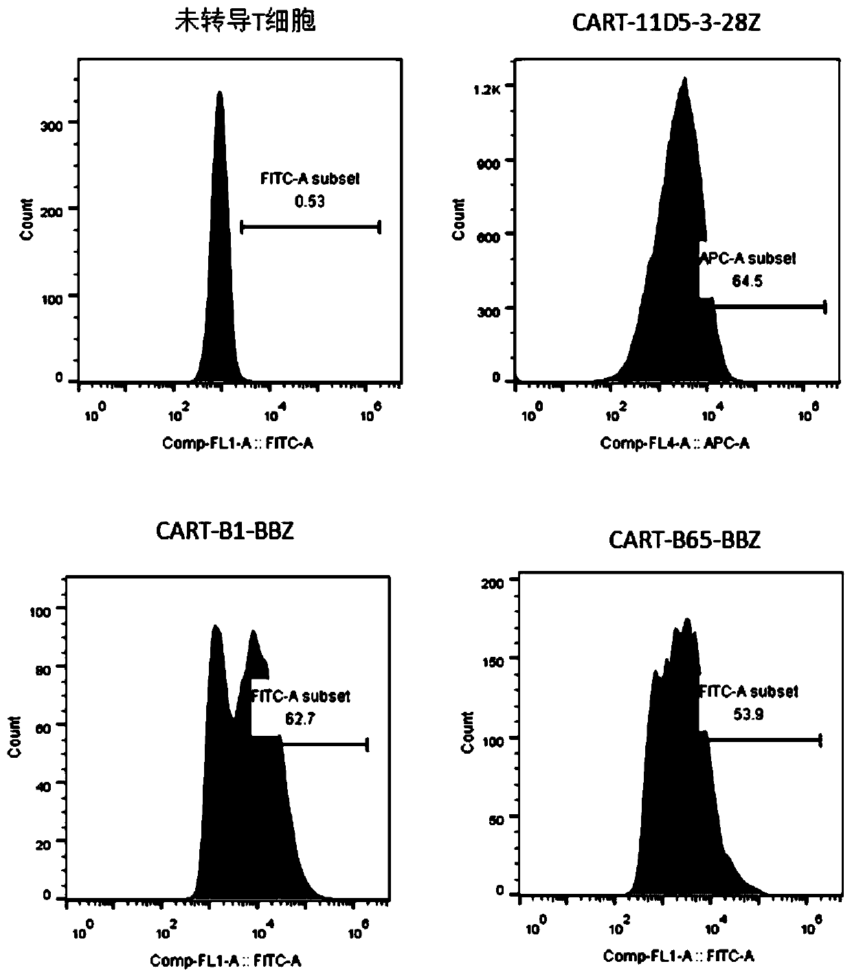 Chimeric antigen acceptor of target BCMA (B cell maturation antigen) and application of chimeric antigen acceptor