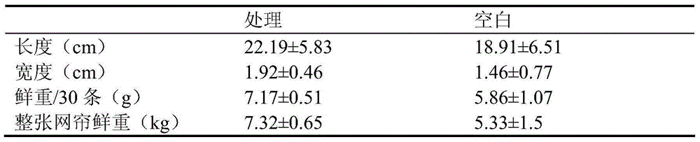 Method for promoting porphyra haitanensis conchospore adhesion and germination