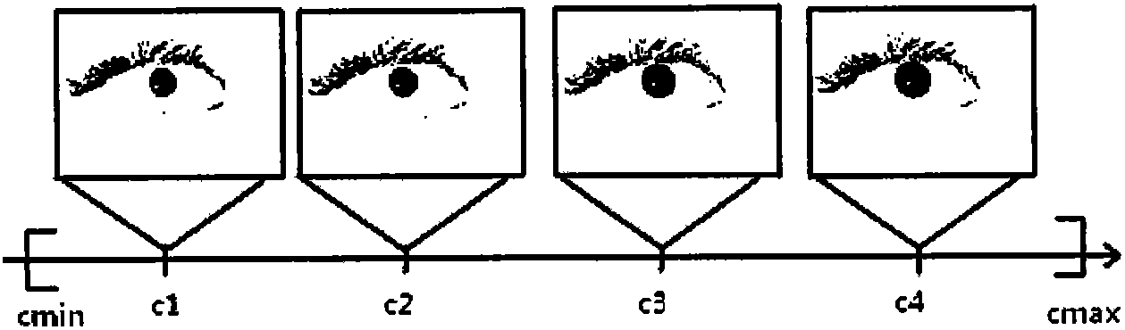 Device and method for iris recognition using a plurality of iris images having different iris sizes