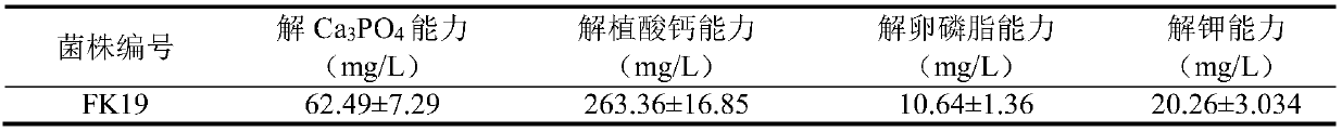 Multi-functional growth-promoting bacteria preparation special for soybean and preparation method and application thereof