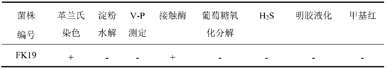 Multi-functional growth-promoting bacteria preparation special for soybean and preparation method and application thereof