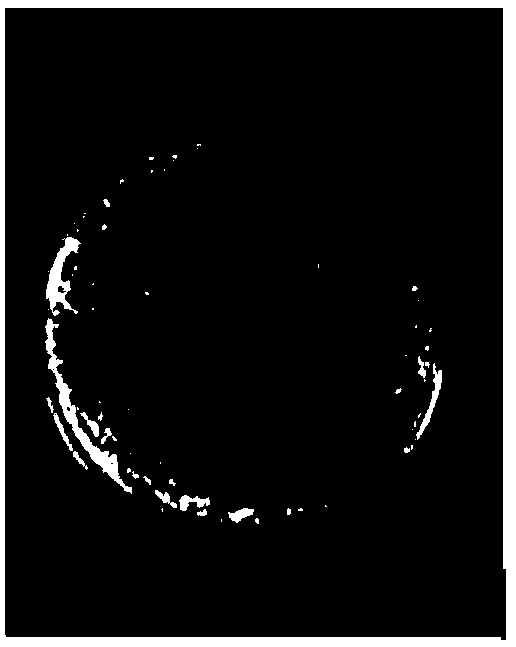 Multi-functional growth-promoting bacteria preparation special for soybean and preparation method and application thereof