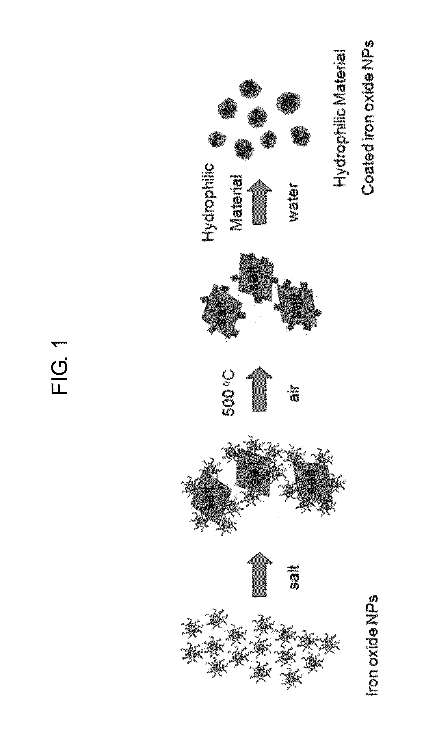 Method of preparing iron oxide nanoparticles coated with hydrophilic material, and magnetic resonance imaging contrast agent using the same