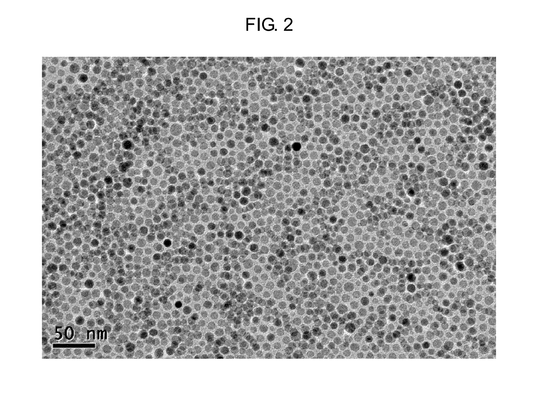 Method of preparing iron oxide nanoparticles coated with hydrophilic material, and magnetic resonance imaging contrast agent using the same