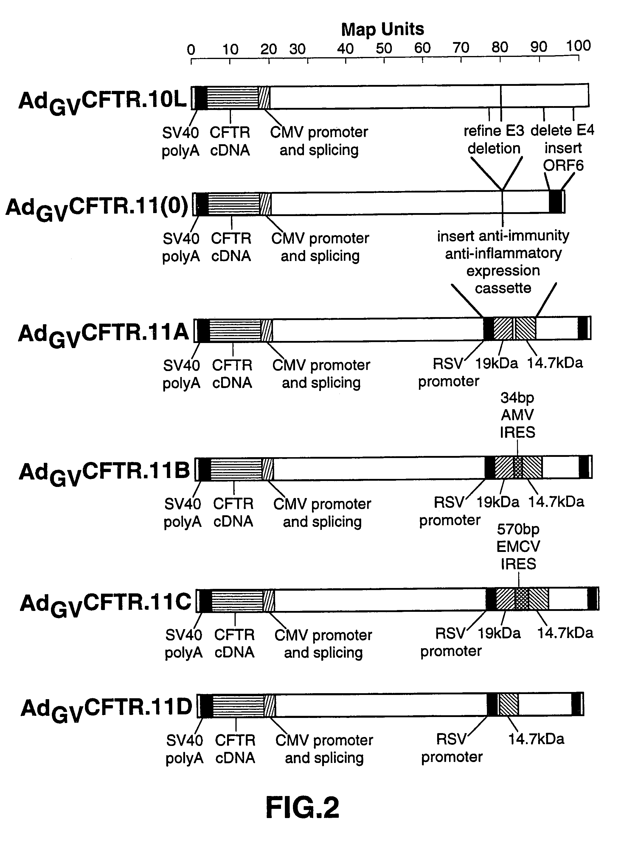 Complementary adenoviral vector systems and cell lines