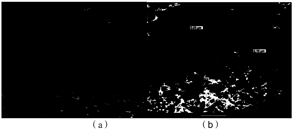 Composite based on liquid silicon infiltration, carbon/carbon porous material and preparation method of carbon/carbon porous material